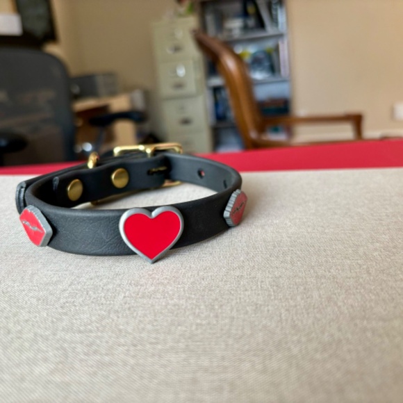 .dog collar , for small medium dog - Picture 4 of 4